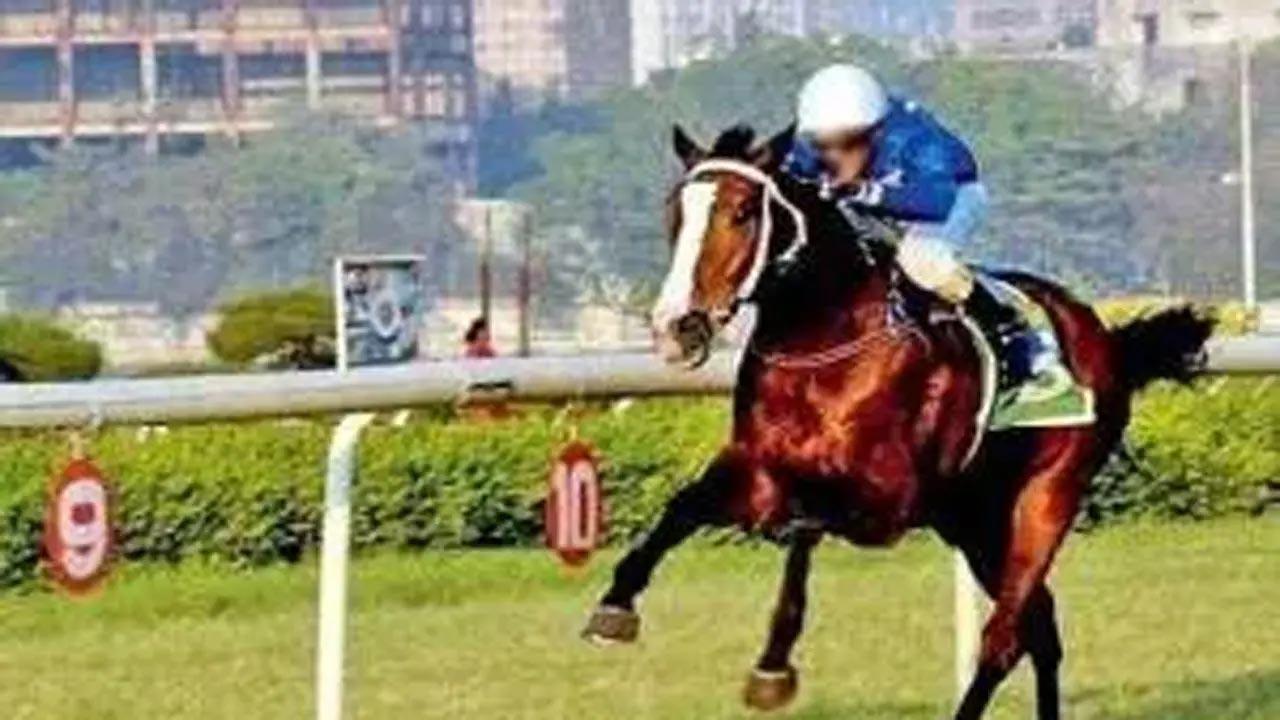 Horse Racing: Enigma for Akkasaheb Maharaj Trophy