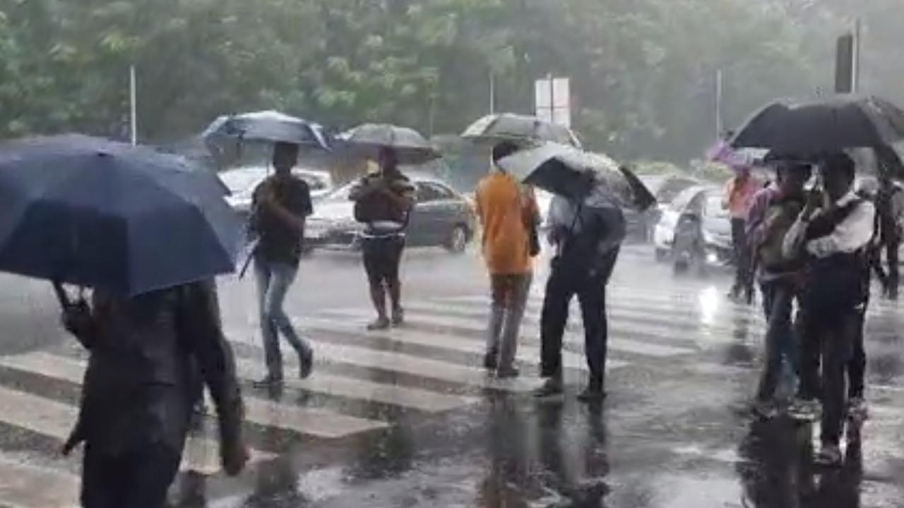 Heavy rain warnings for parts of Vidarbha; red, orange alerts issued