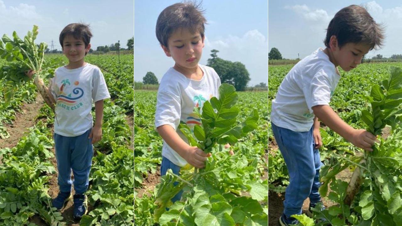 Taimur Ali Khan goes farming with mom Kareena; see photos