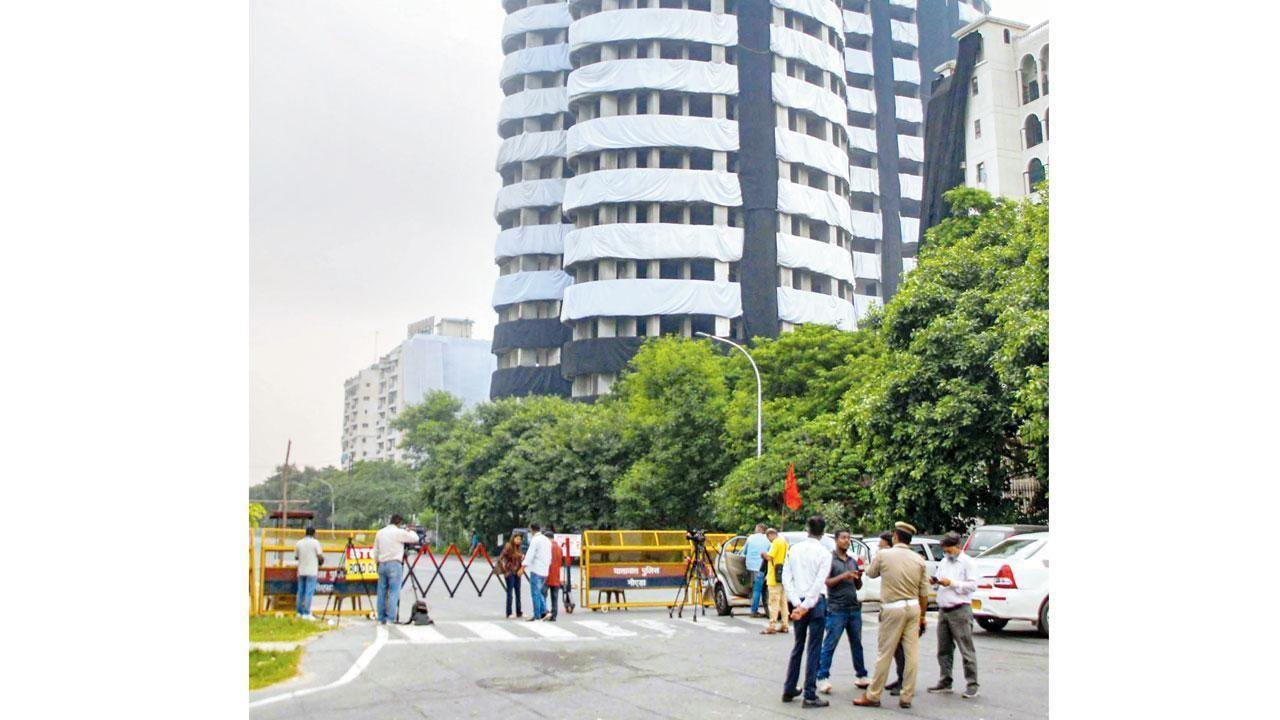 Twin towers demolition: 40 stray dogs shifted; admin urged to hold 'dummy explosion' to save birds