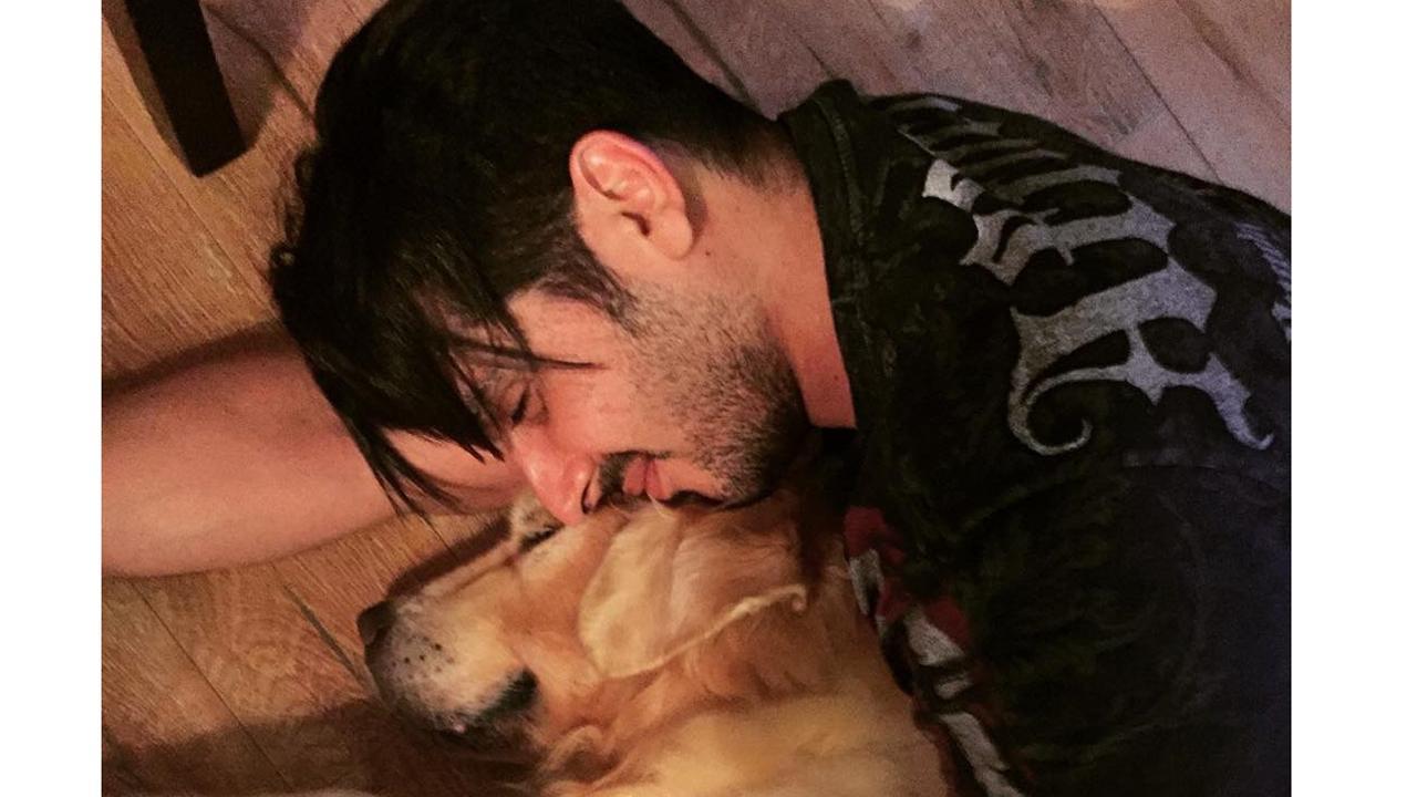 Gujarati Dog Sex - International Dog Day: Let's meet Zayed Khan's five dogs in this exclusive  video