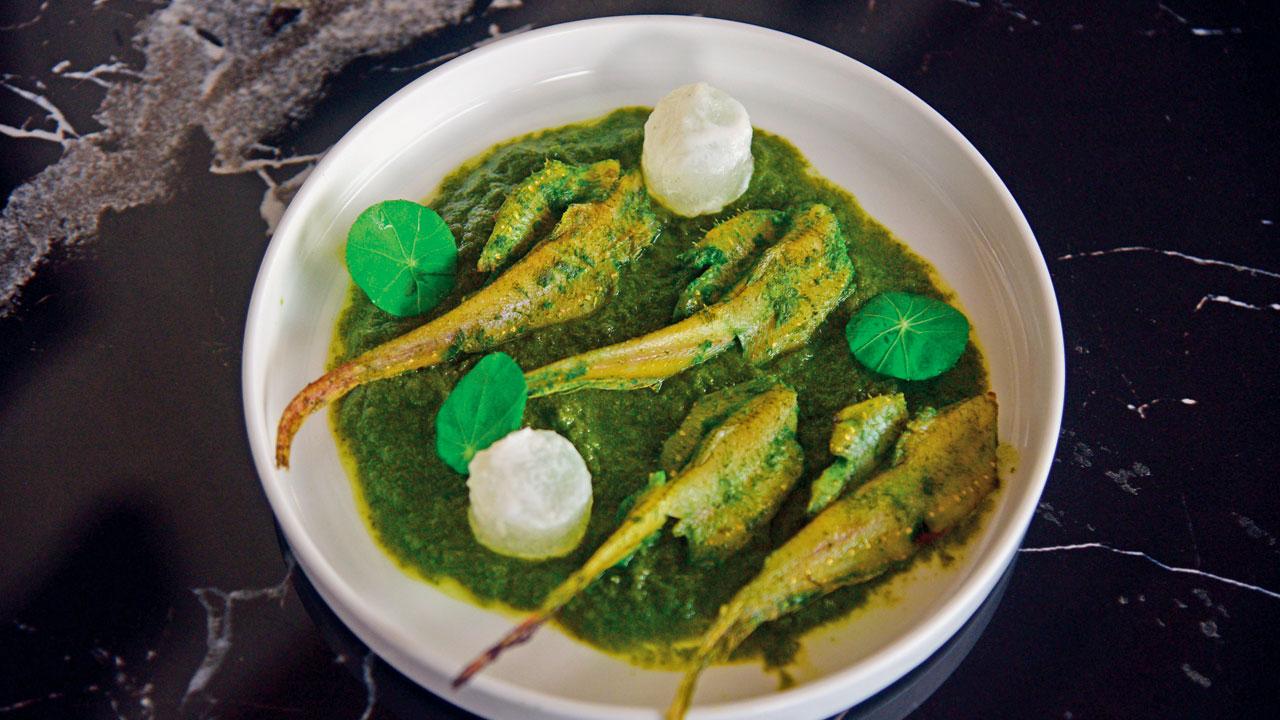 Anchovies in a swamp