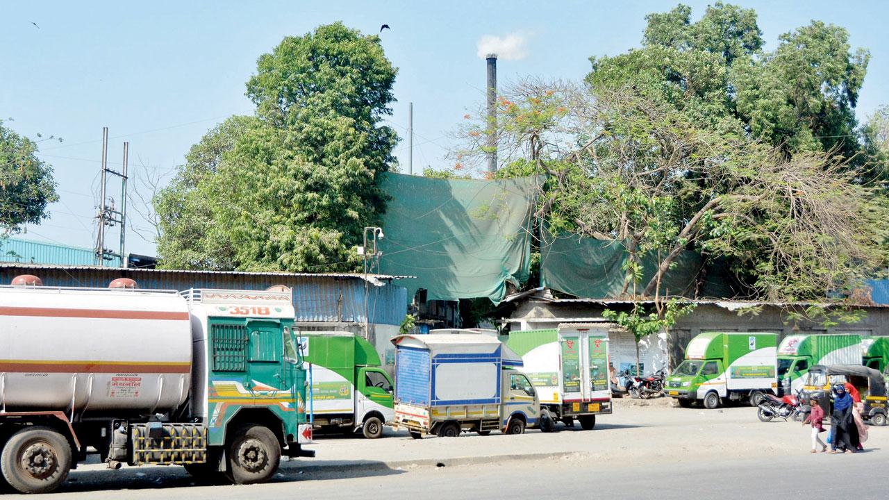 Trucks loaded with biomedical waste outside the Envoclean facility at Govandi. File pic