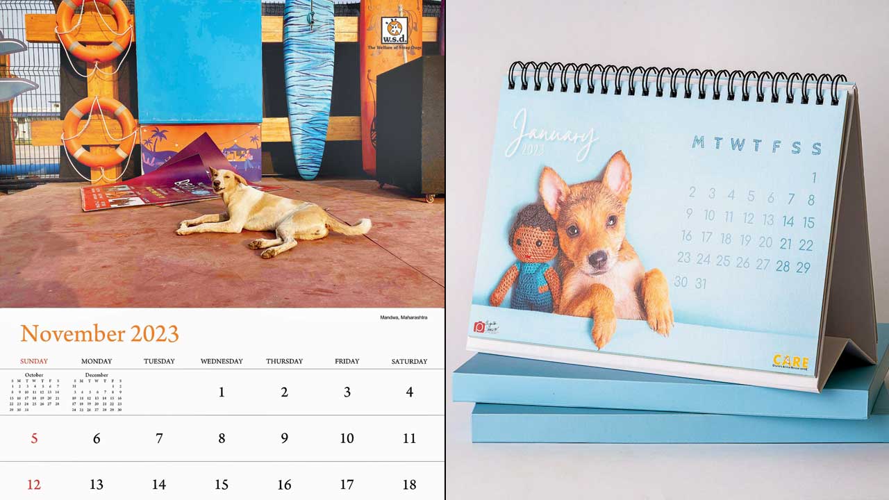 A page from the WSD 2023 calendar with photographs by Rohan Mukerjee and Mark Aranha; the Care Calendar 2023