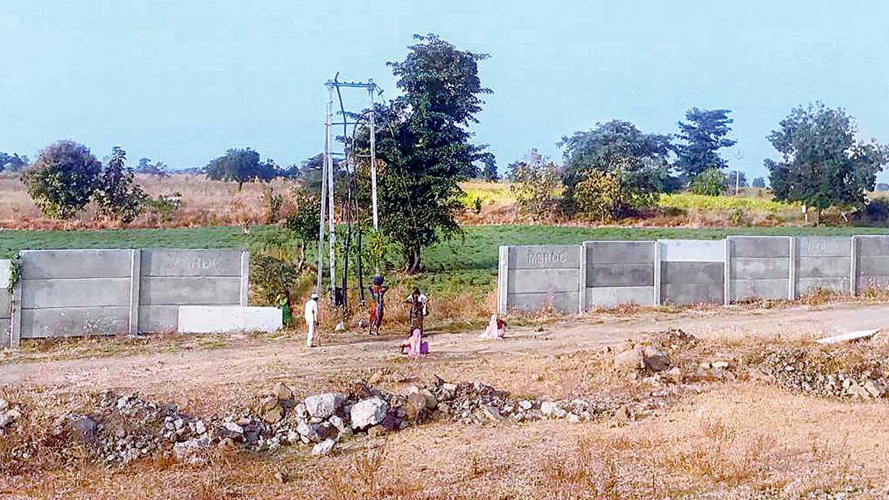 Speeding, strays behind most Samruddhi e-way mishaps, says MSRDC