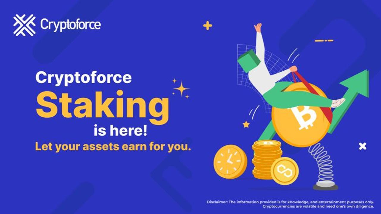 Cryptoforce Launches Staking Program with a Zero-TDS on Investment.