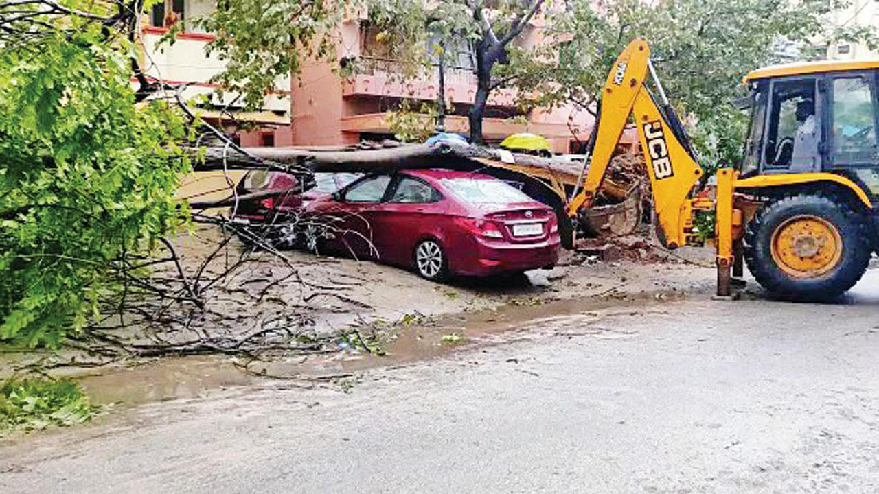 Cyclone Mandous dissipates; in Tamil Nadu, four lives lost, 181 houses damaged