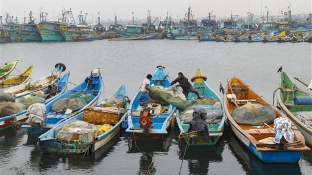 Fishing boats anchored at the sea-shore in Chennai