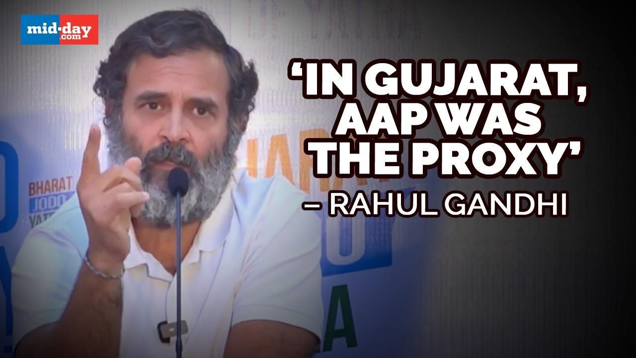 'If AAP Weren't There, We Would've Defeated BJP': Rahul On Cong' Gujarat Defeat