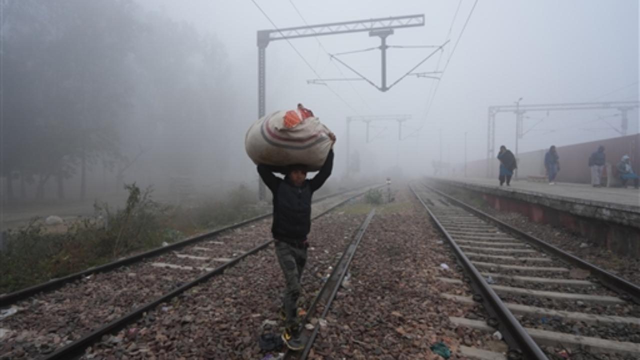 Dense fog envelops Delhi and parts of northern India, reduces visibility