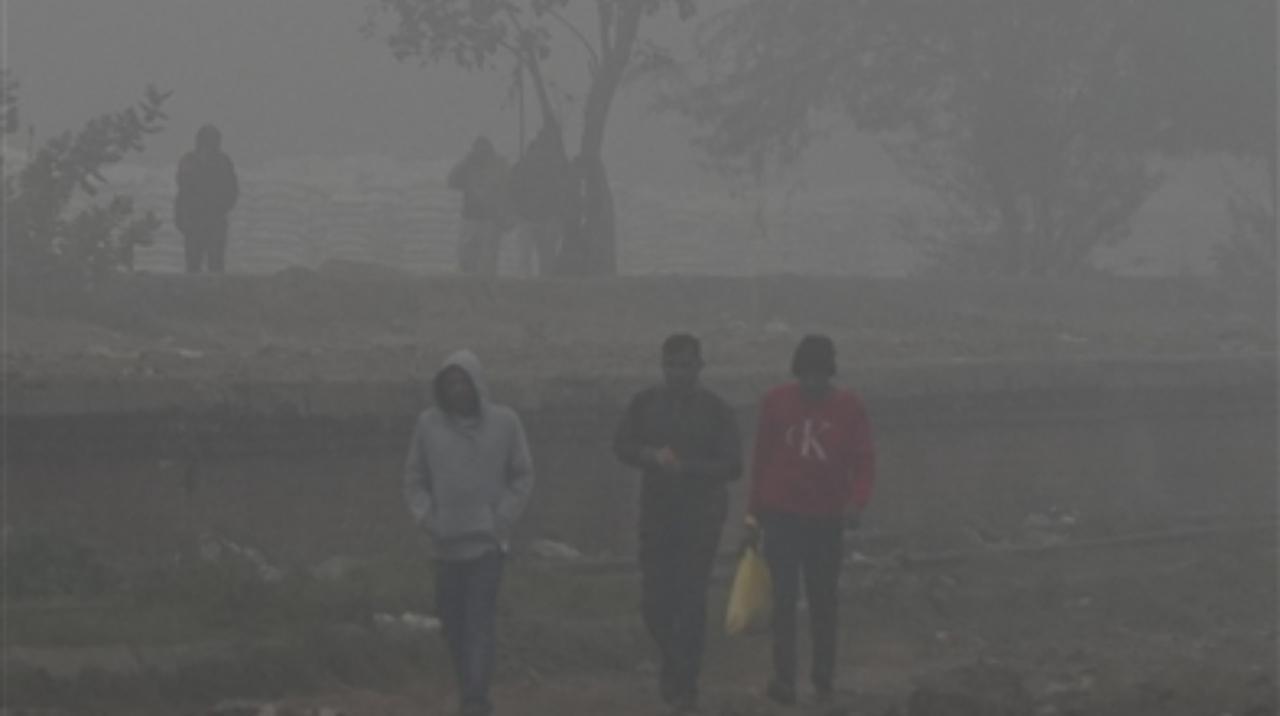 Biting cold, dense fog in parts of Punjab, Haryana