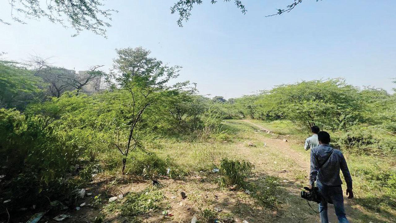Cops search the Mehrauli forest area where Poonawala disposed of Walkar’s body parts. File pics