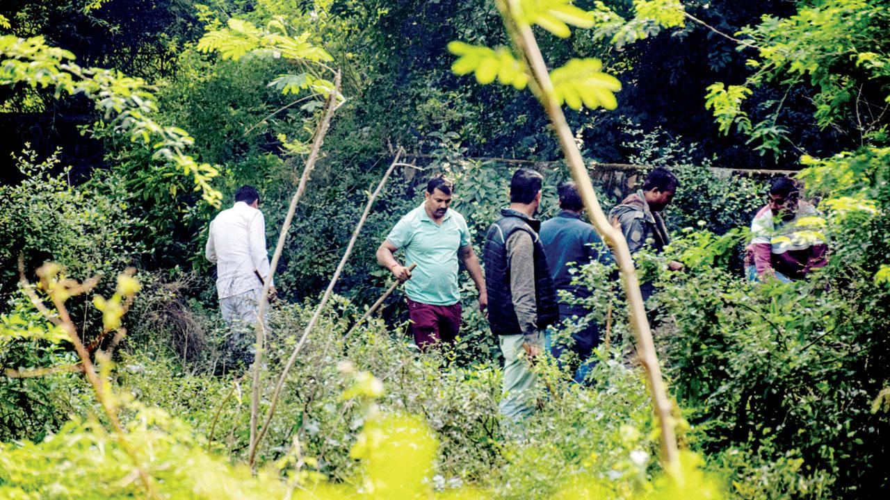 Cops search the Mehrauli forest area where Poonawala disposed of Walkar’s body parts. File pics