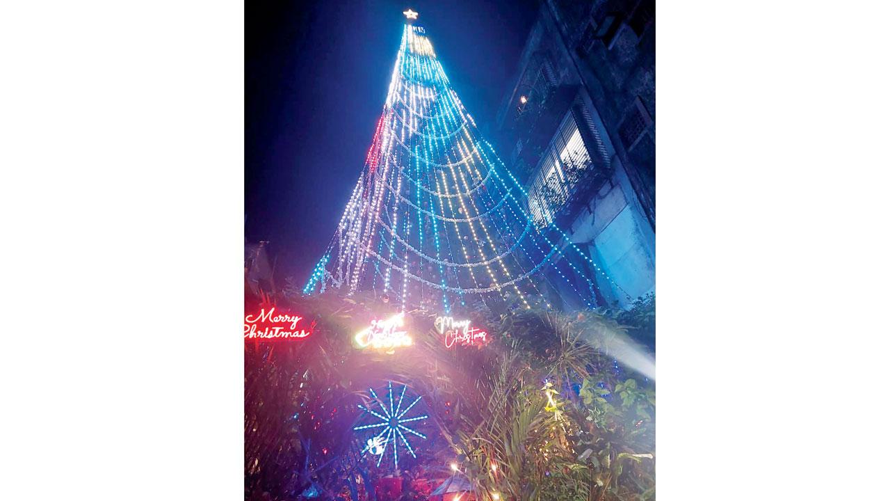 The Peace tree as it stands near Worli