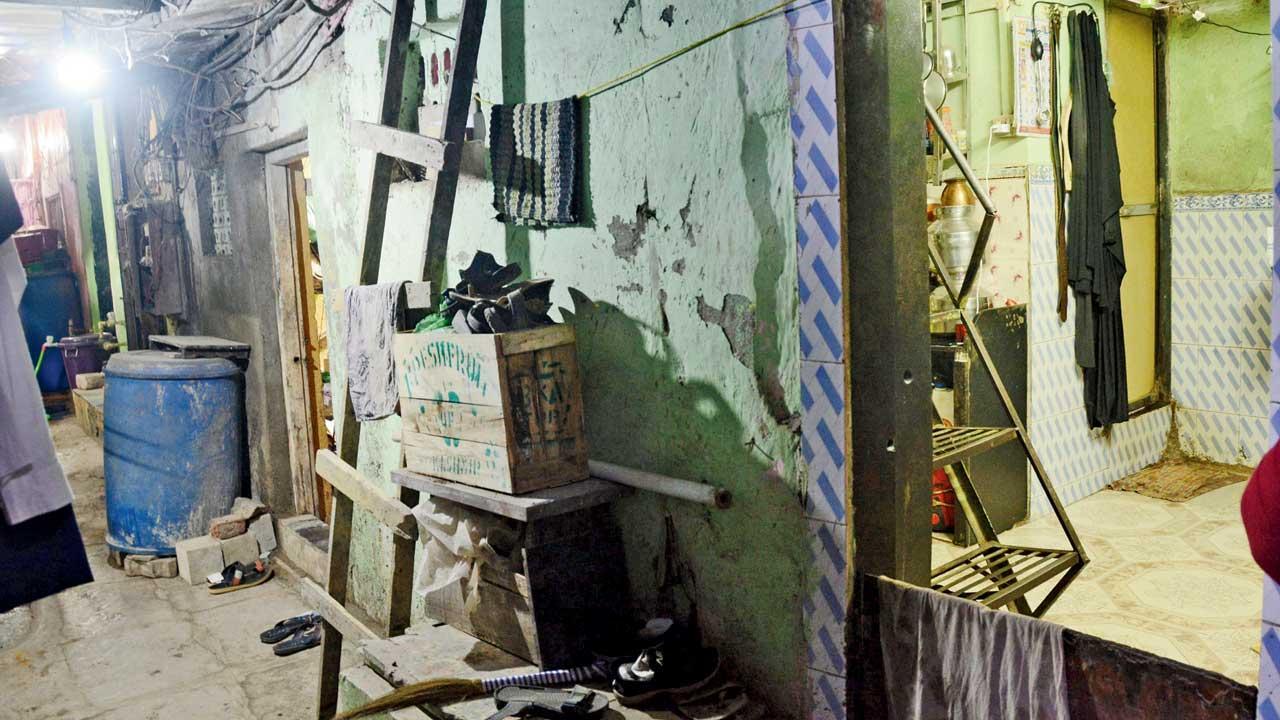 Mumbai Crime: Forty homing pigeons recovered after a month
