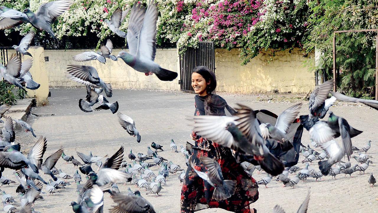 Mumbai Diary: Monday Dossier