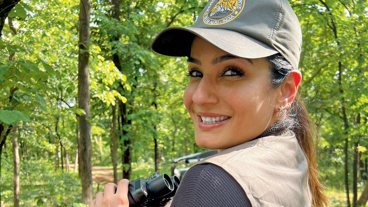 Actor Raveena Tandon during the safari. Many wildlife lovers have backed her saying she did not do anything wrong. Pic/Twitter
