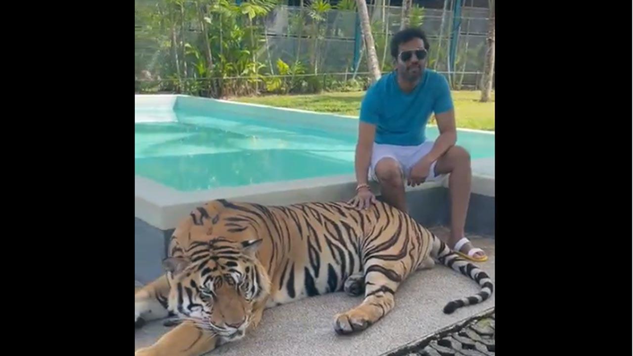 Actor Santhanam faces backlash over his video of holding tiger's tail in his hand