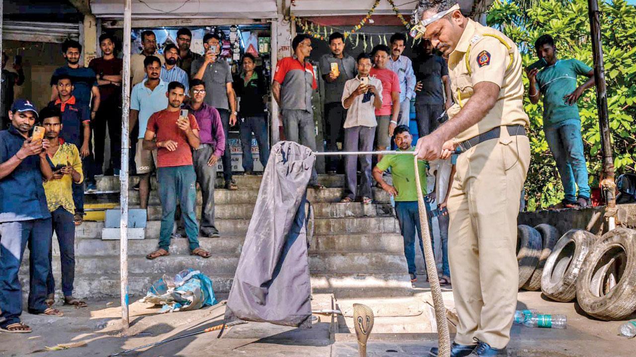 Meet Mumbai’s snake whisperer in khaki