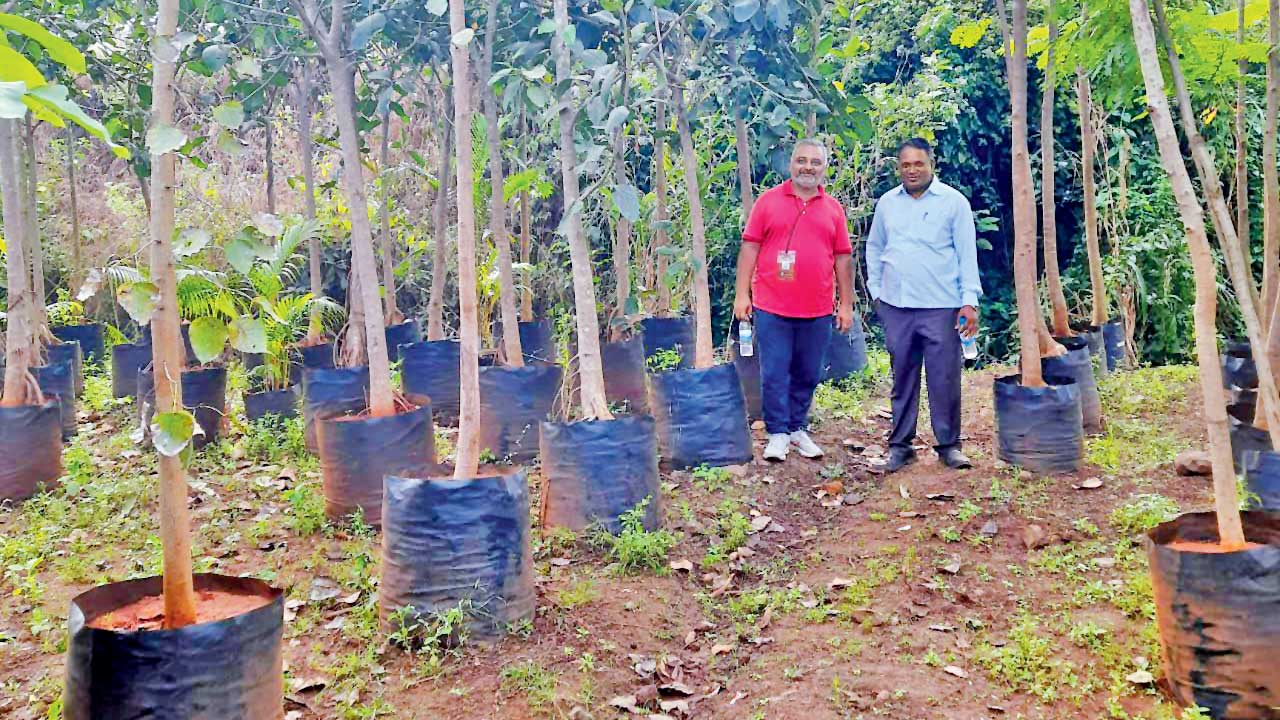 Subhajit Mukherjee (left) at the site where the saplings will be planted