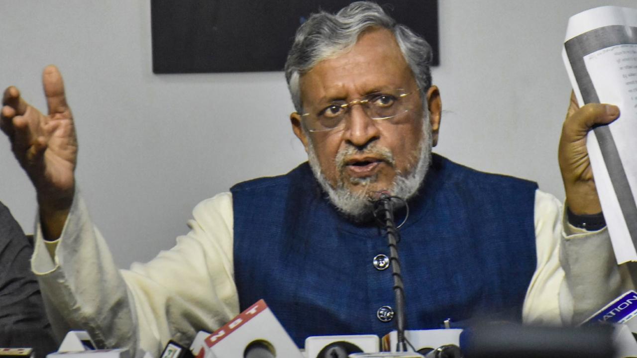 Same sex marriages would 'shred' the delicate fabric of society: BJP MP Sushil Kumar Modi