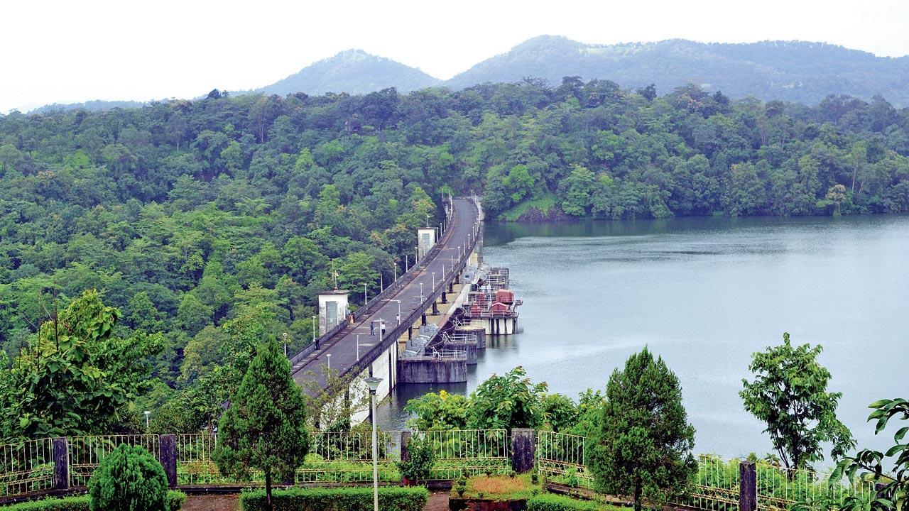 Mumbai: Year on, Palghar's Gargai dam project awaits Centre’s green light