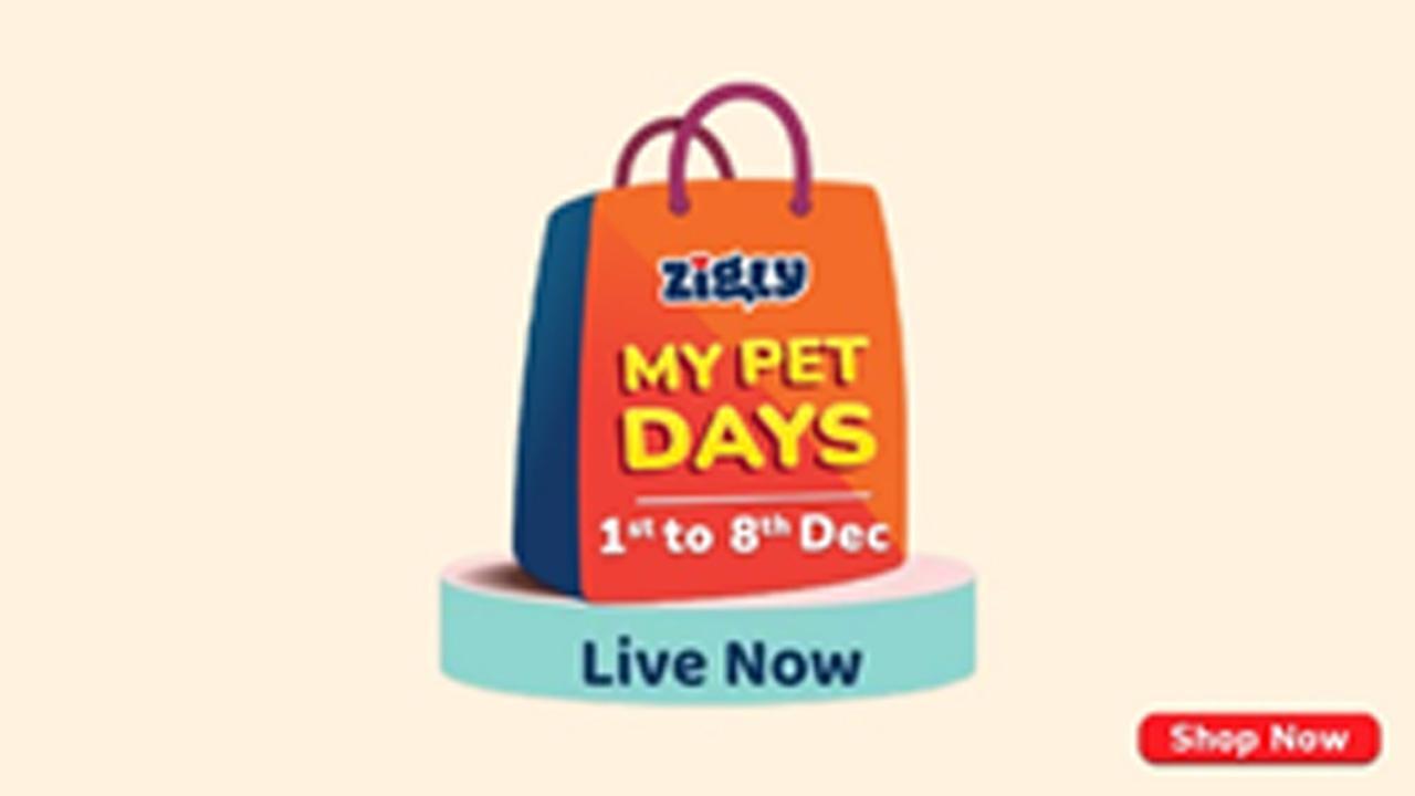 Shop All The Wishlisted Pet Products! Zigly My Pet Days Are Back!