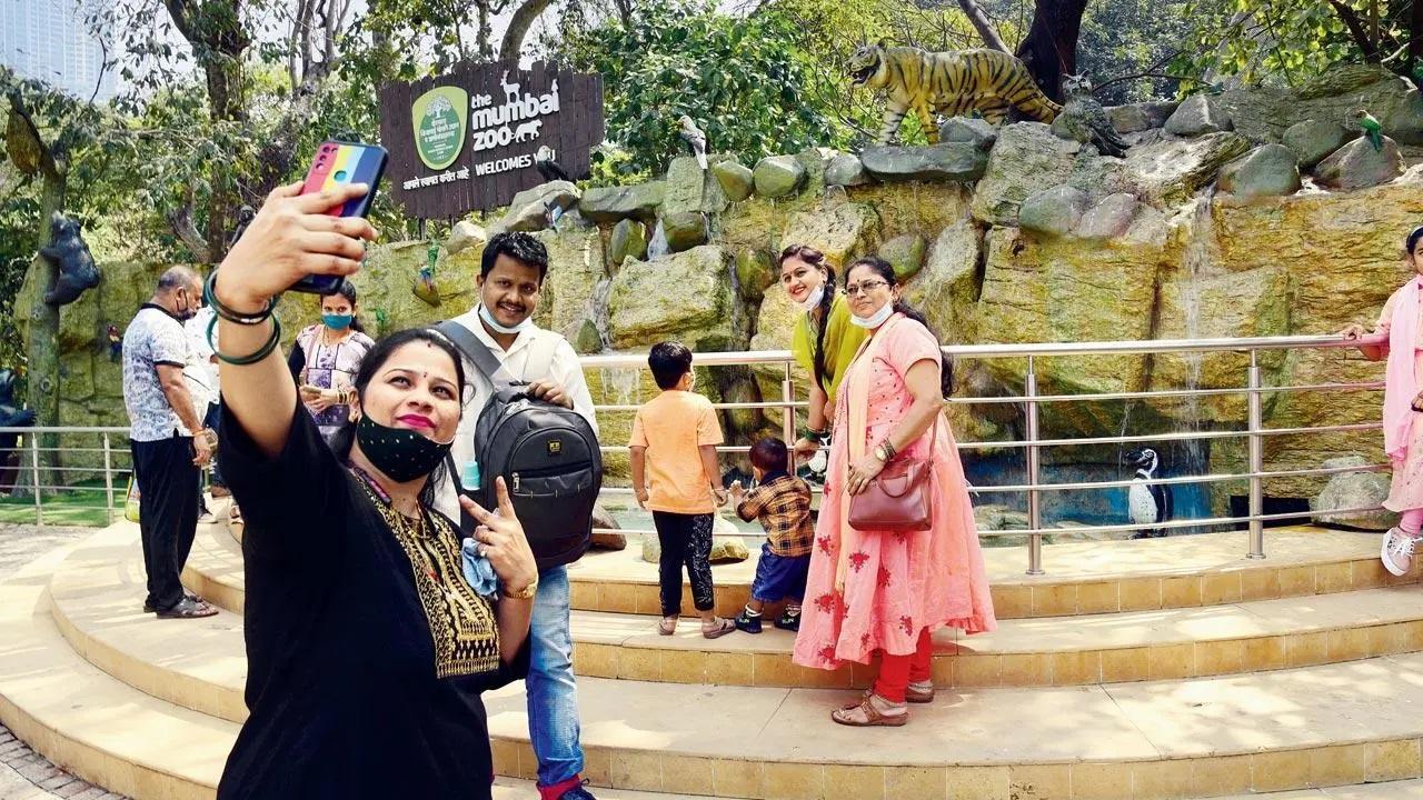 Photos: Byculla Zoo reopens for public | The Times of India