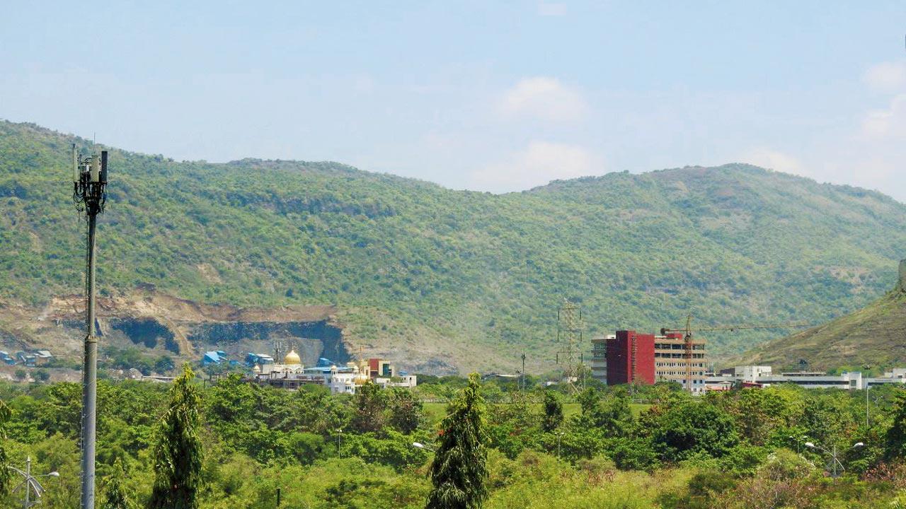 A view of the ongoing quarrying at the Kharghar hills