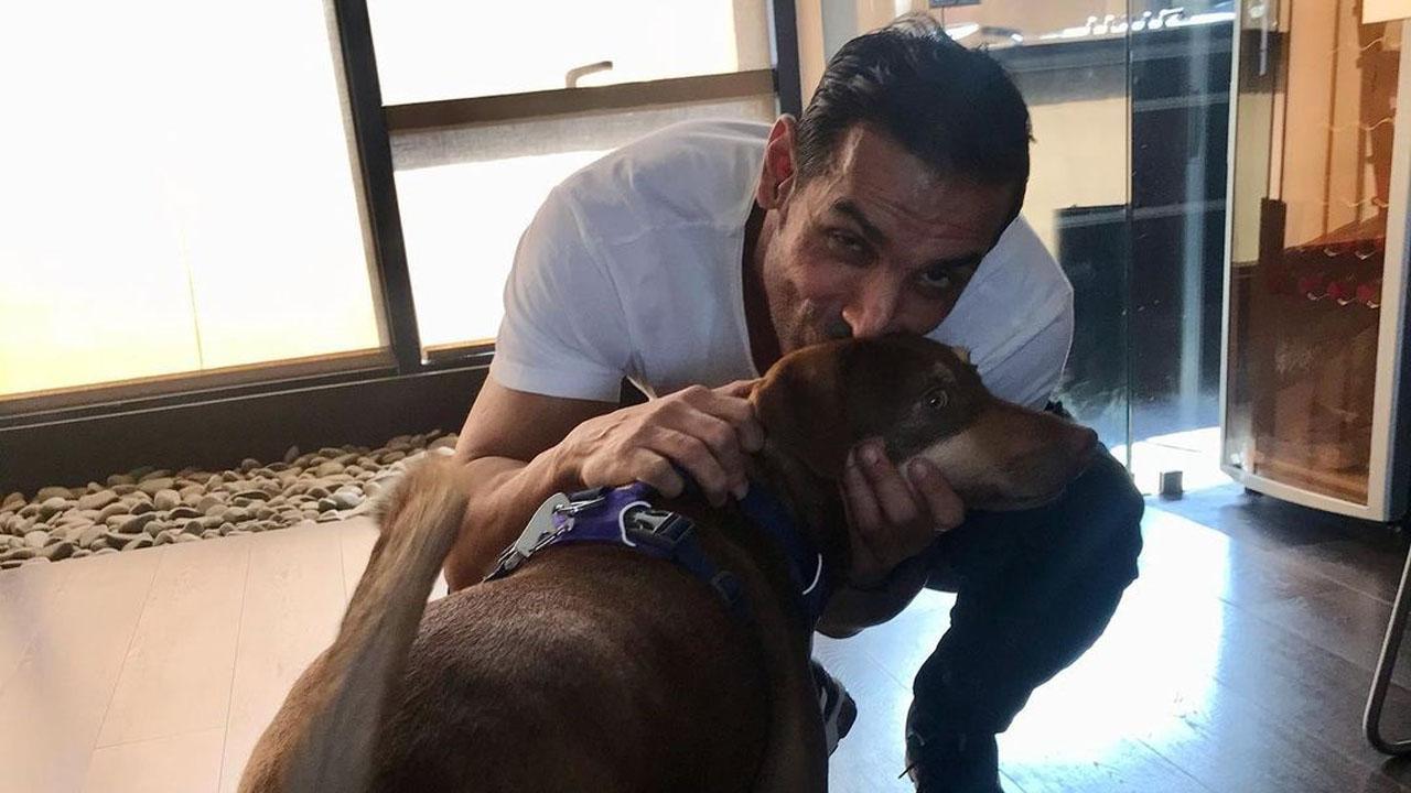Happy Birthday John Abraham: The actor's adorable moments with pets Bailey and Sia