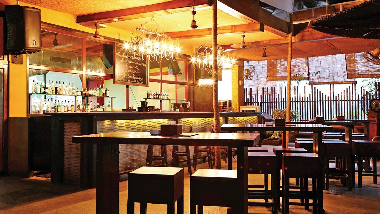 Bonobo, Bandra