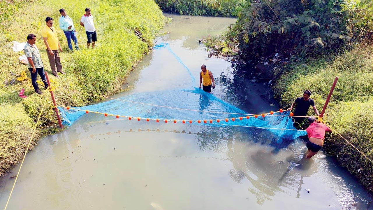 Mumbai: NGO Vanashakti install mesh to prevent plastic from choking mangroves at Bhandup pumping station