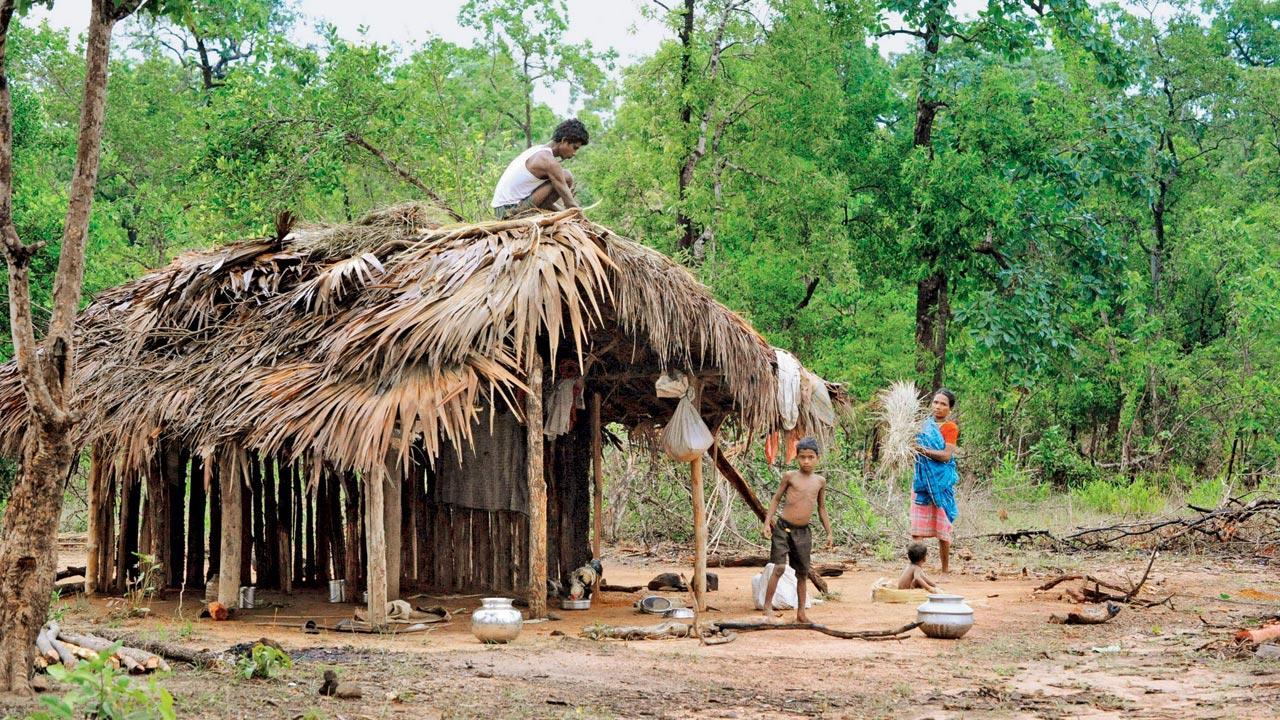 Jharkhand: New forest rules will snatch away tribals’ rights, says CM Soren