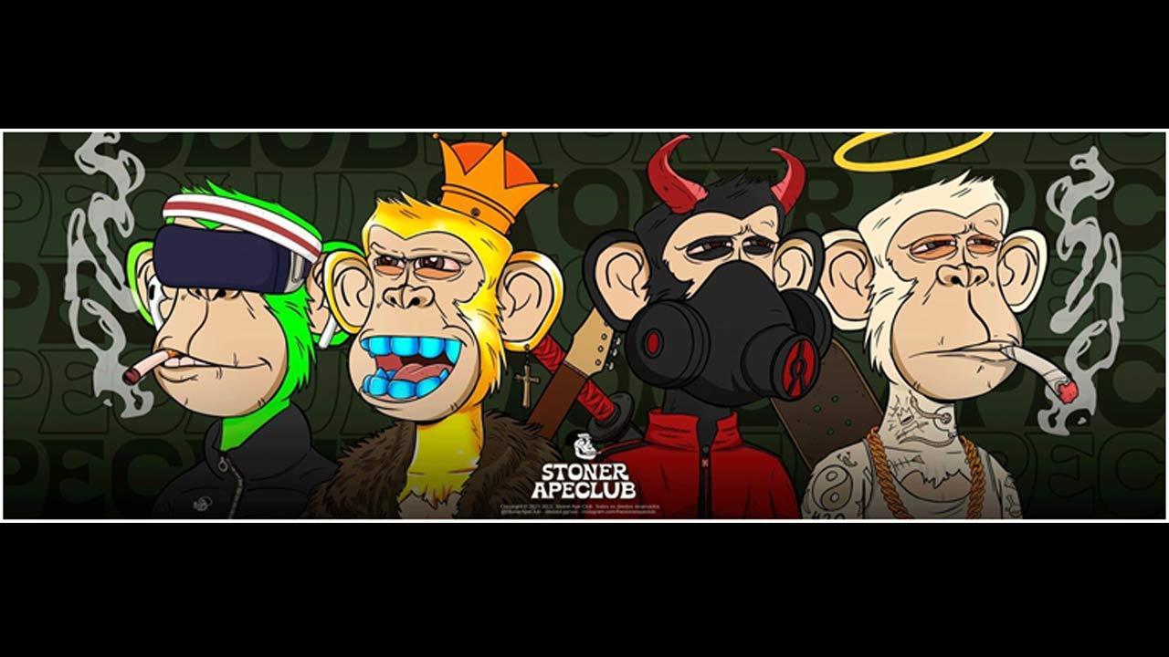 Rising to be one of the most promising NFT collections and clubs is Stoner Ape Club