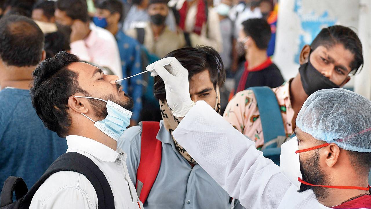 Daily Covid-19 cases in Mumbai drop to 536