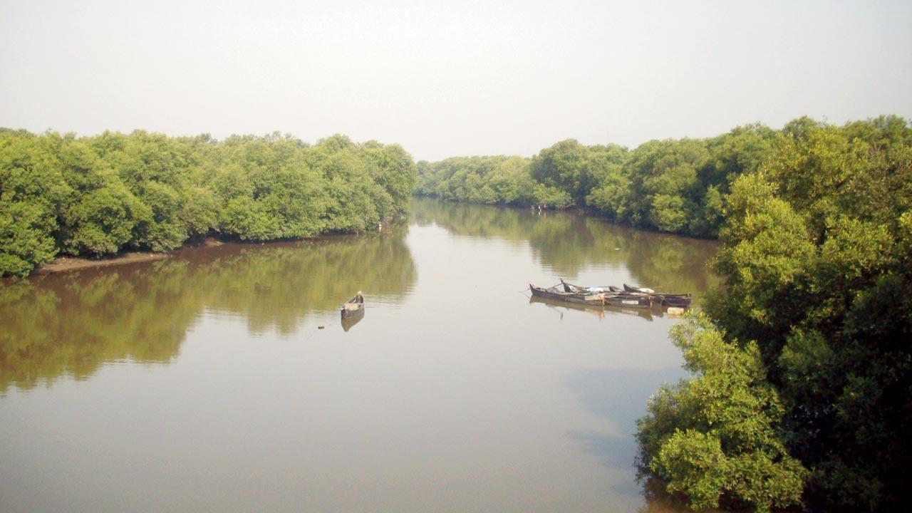 Biodiversity matters