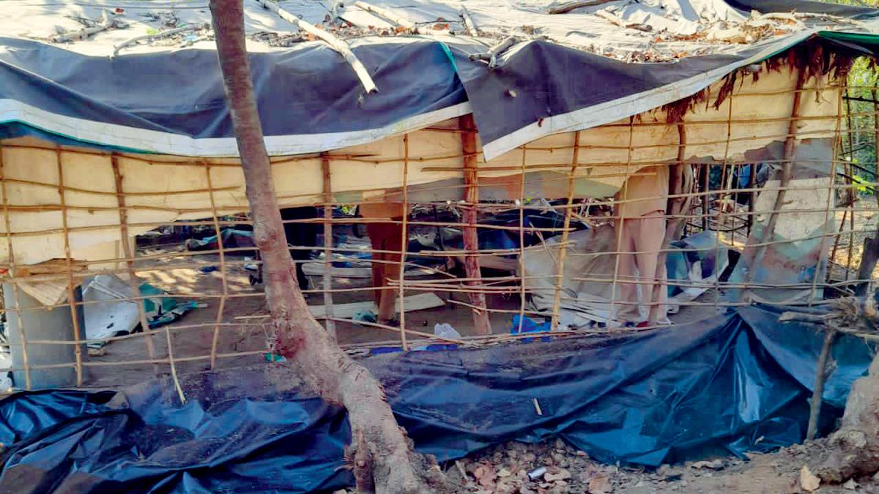 The encroacher not only built a hut, but also constructed a compound surrounding it using bamboo and sticks