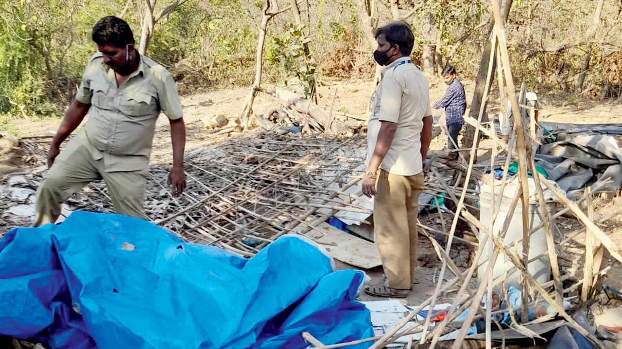 Mid-day impact: Illegal huts in Aarey greens demolished