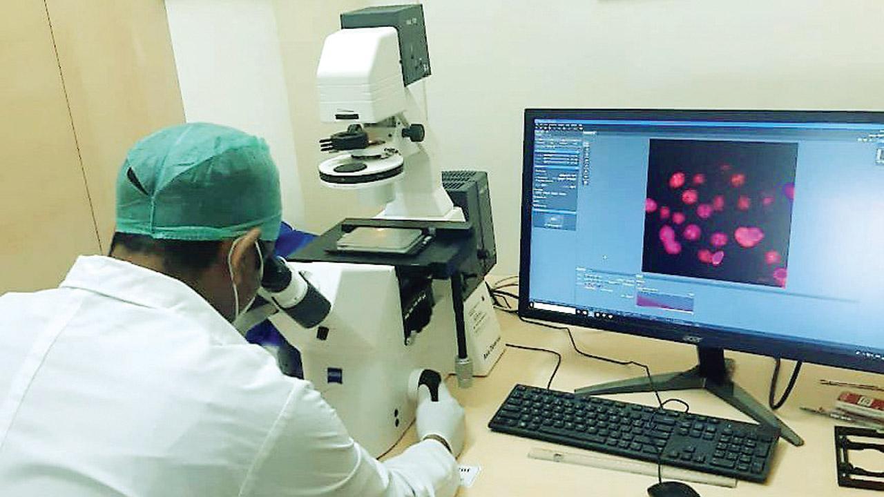 Maharashtra experts develop nanorobot for early cancer detection