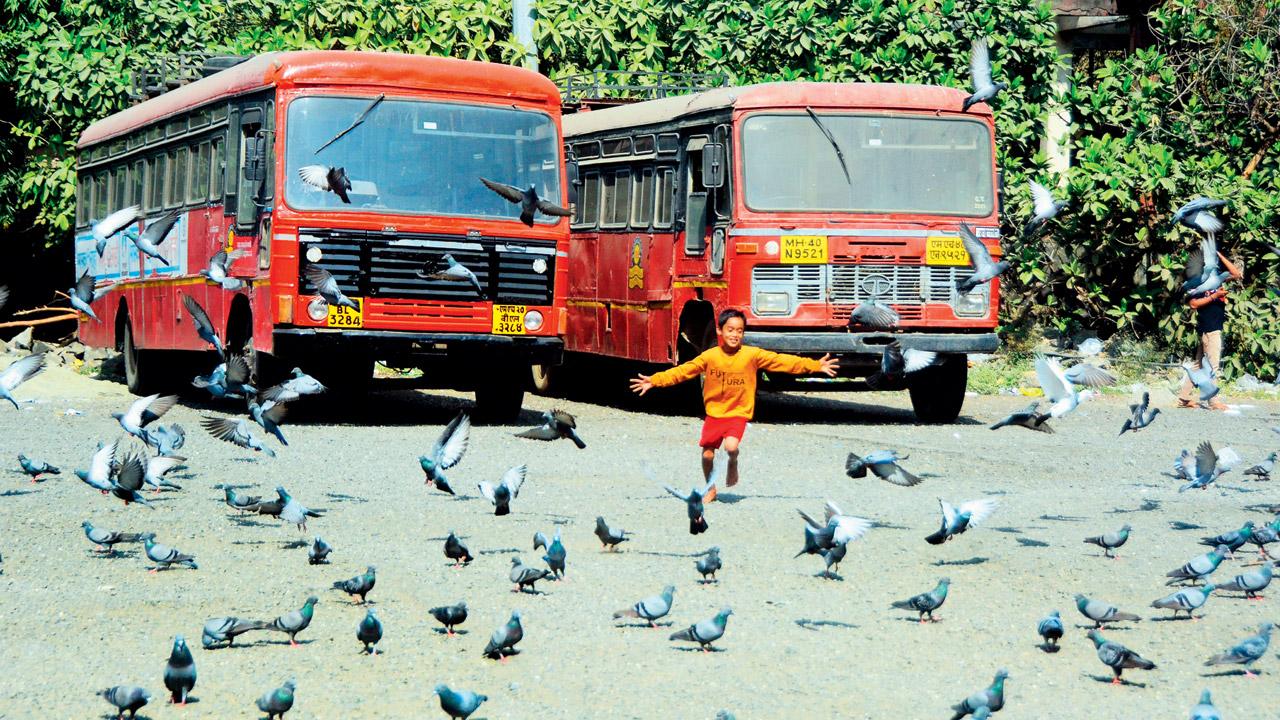 Till 6 pm on Monday, MSRTC was able to manage around 8,284 bus services across the state. Pics/Sameer Markande