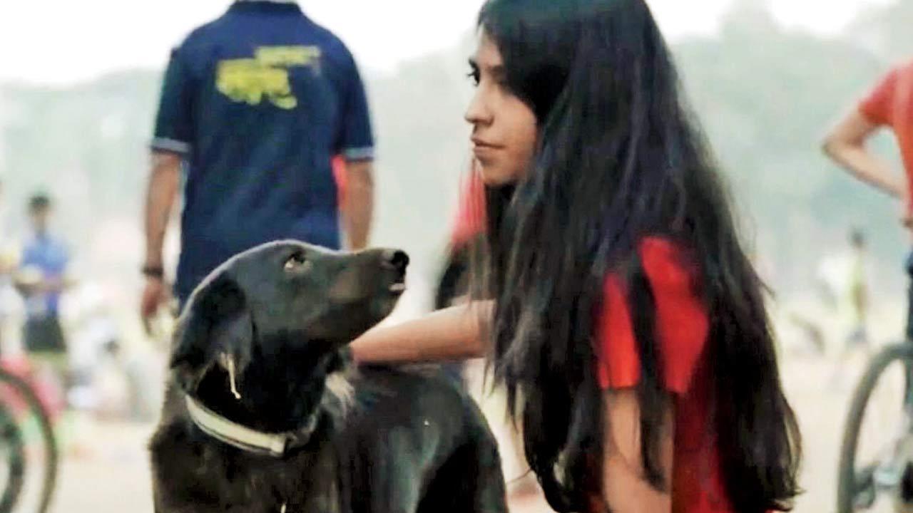 Dog lost from Dadar, found in Nashik