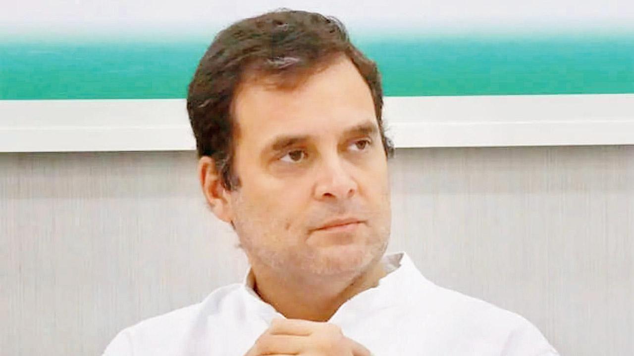 We can't abandon our own people: Rahul Gandhi on Indian students stranded in Ukraine