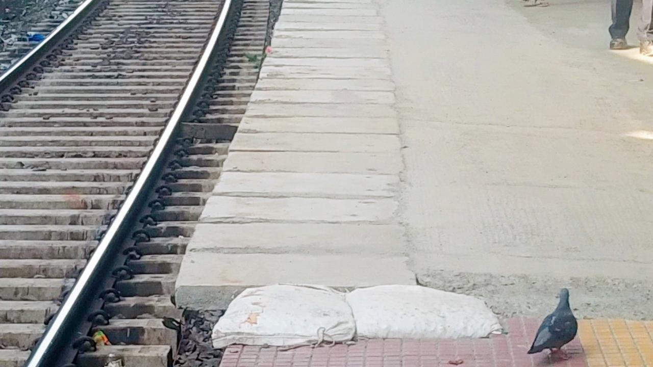 Work to level platforms at Sandhurst Road station is almost complete; work on escalators begins at Mumbra station