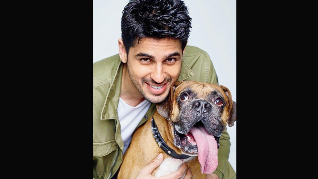 Sidharth bids farewell to Oscar