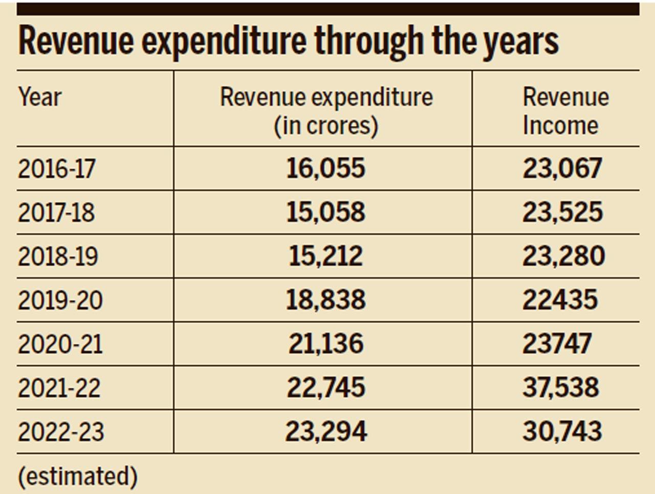 Revenue expenditure through the years