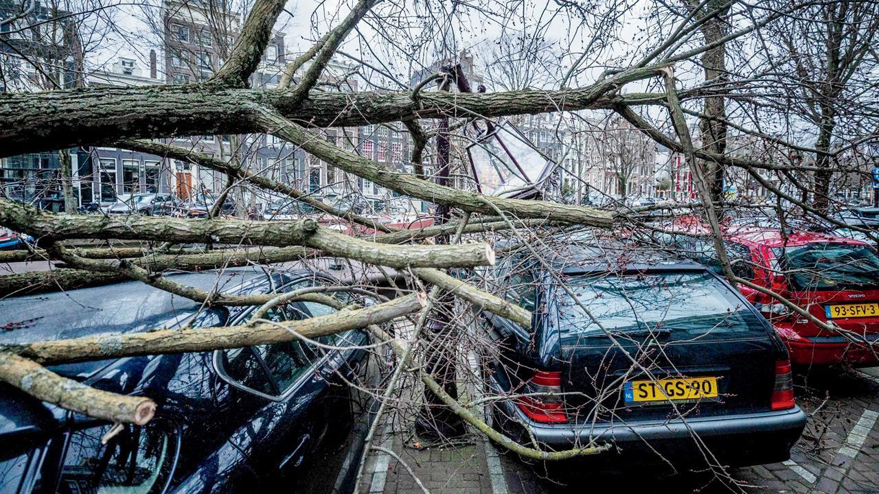 A tree lies over several cars in  Amsterdam, on Saturday. Pic/AFP