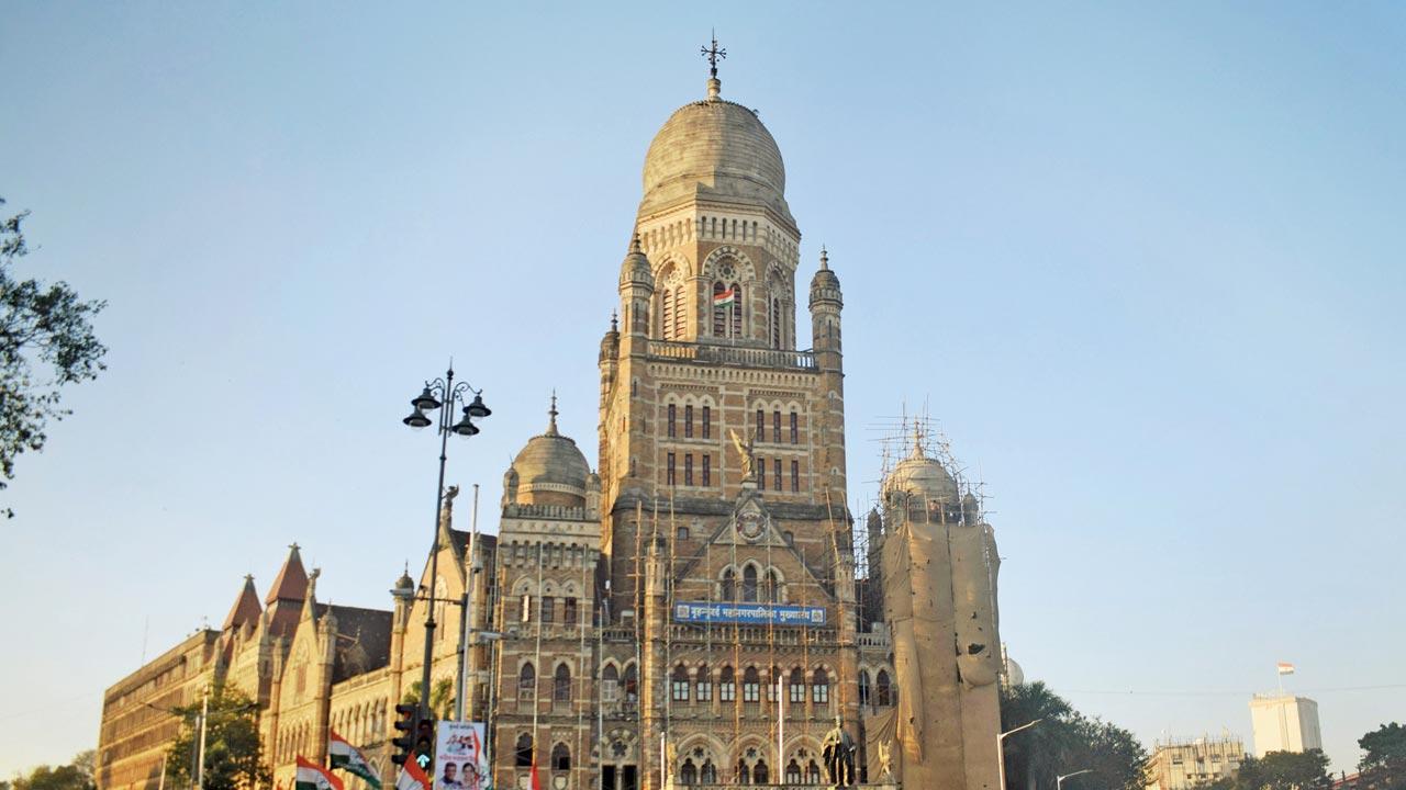 BMC to get administrator, as elections are delayed