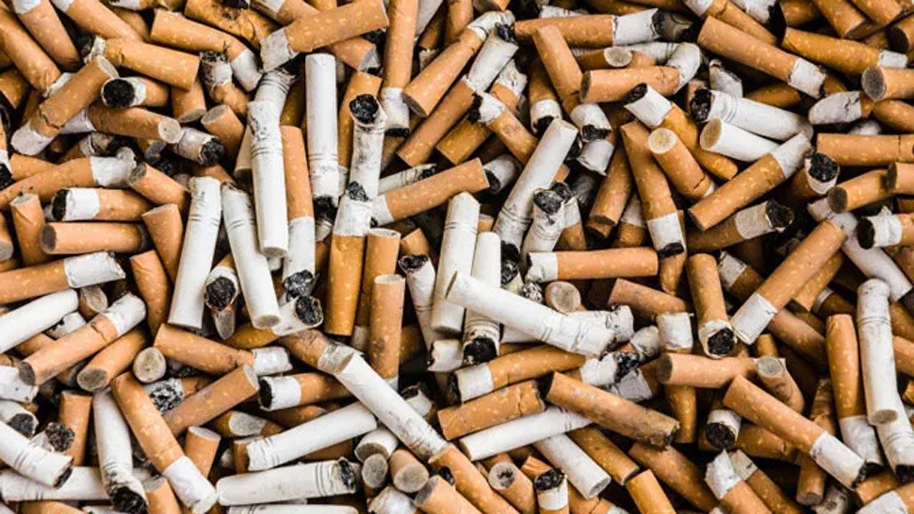 Over 600 kg of narcotics worth Rs 500 cr, 1 cr cigarettes destroyed by Mumbai Customs: