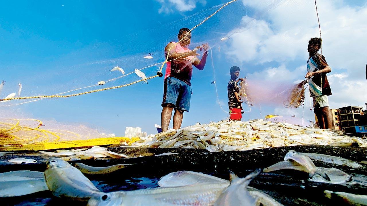 Mumbai Diary: Monday Dossier Mumbai Diary: Monday Dossier