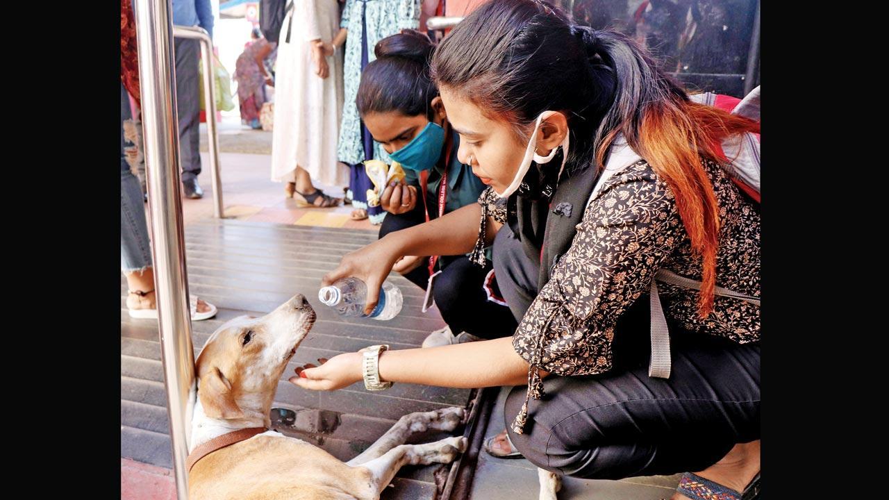 Mumbai Diary: Wednesday Dossier